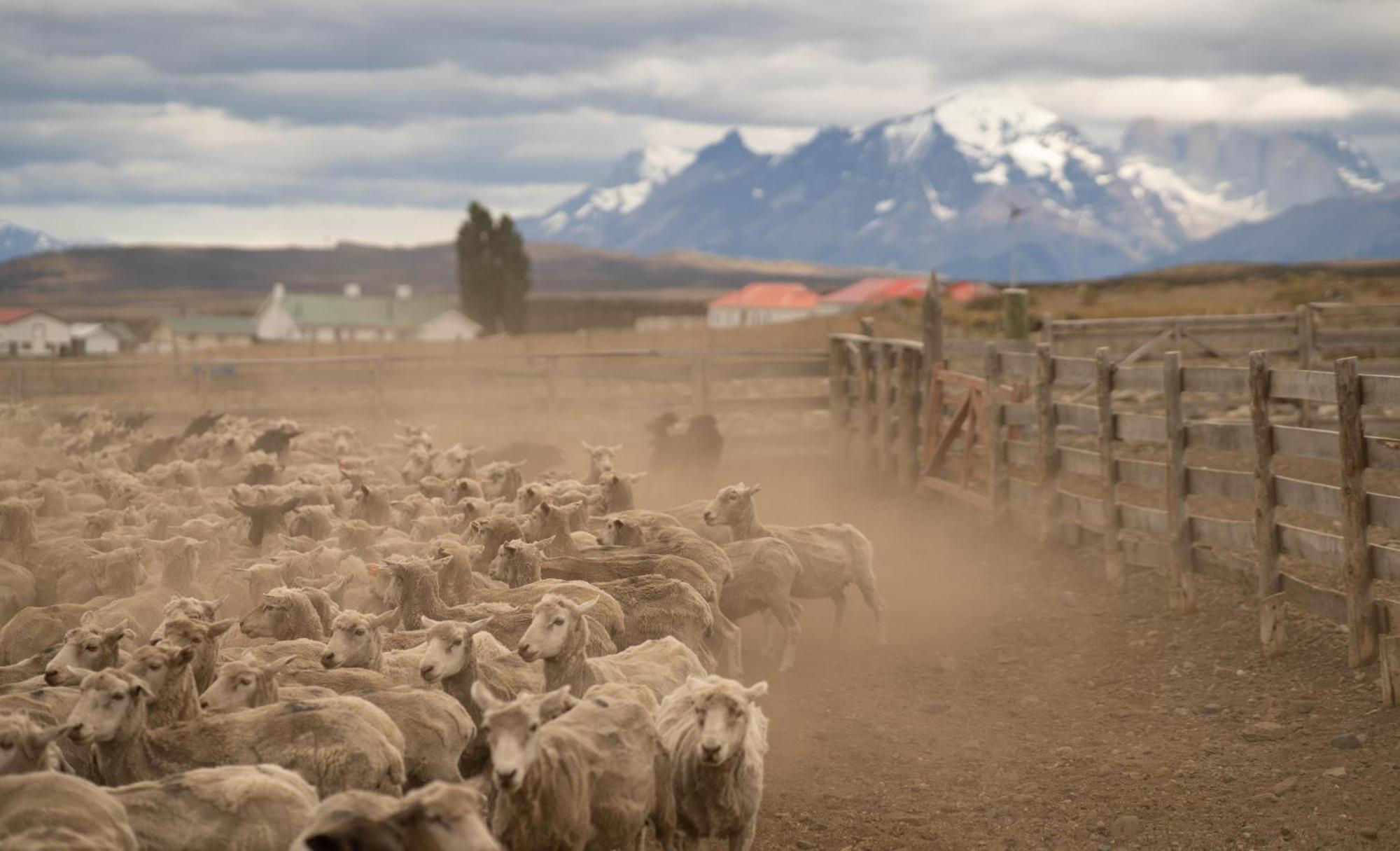 Estancia Cerro Guido Torres del Paine National Park Eksteriør billede
